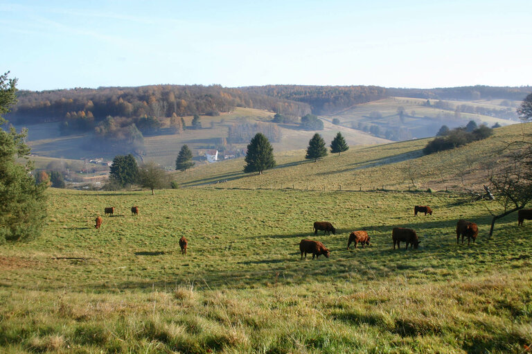 Naturpark Spessart : Naturpark Spessart